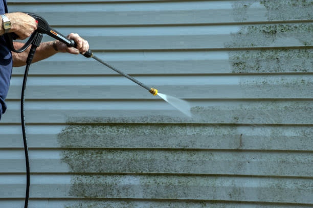 Best Roof Washing  in Meadows Place, TX